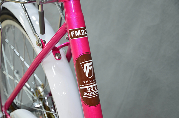 sườn xe đạp trẻ em Fascino FM22
