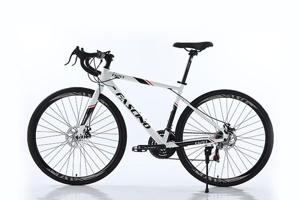 xe đạp đua Fascino 828 trắng