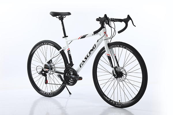 khung xe đạp đua Fascino 828