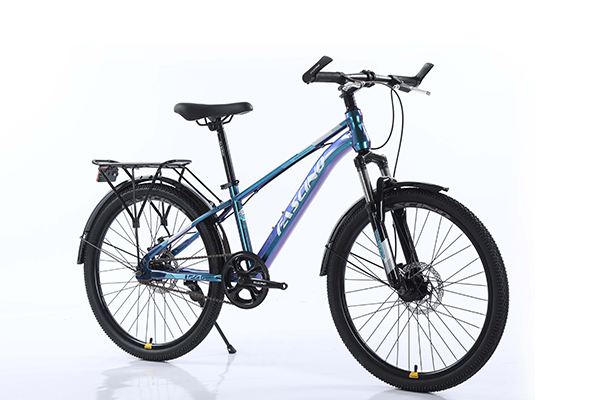 khung xe đạp địa hình thể thao Fascino 124s