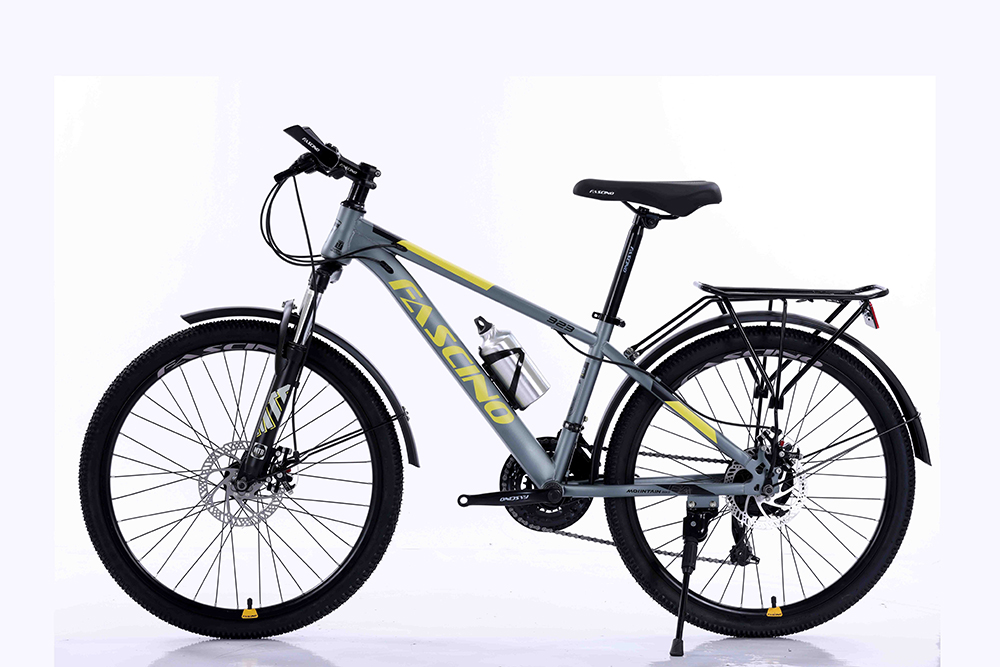 xe đạp địa hình thể thao Fascino 323 1