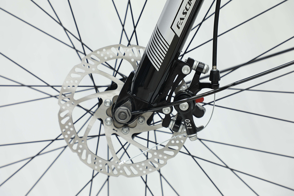 xe đạp địa hình thể thao Fascino 124PRO 8