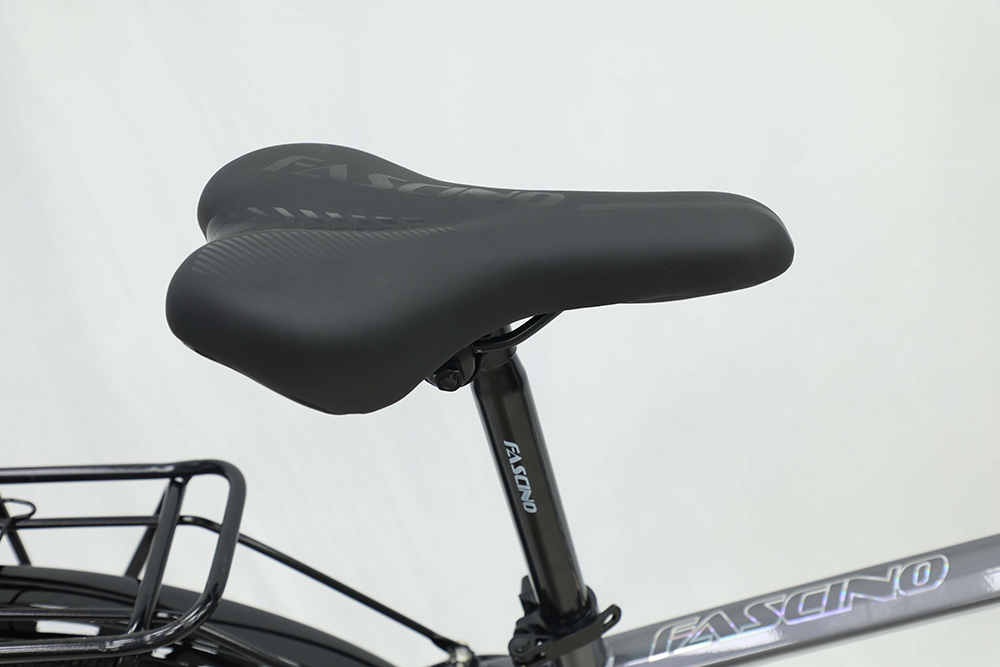 xe đạp địa hình thể thao Fascino 126PRO 10