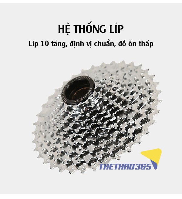 Líp xe 10 tầng