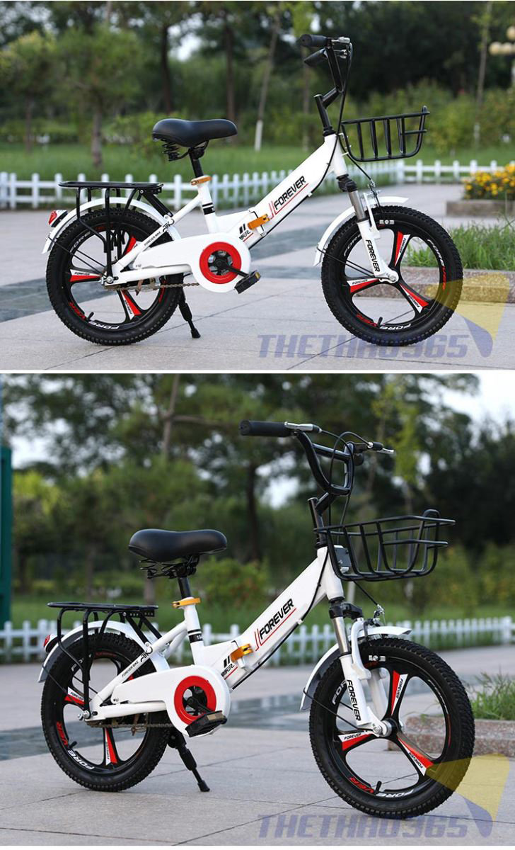 Xe nhiều mầu sắc