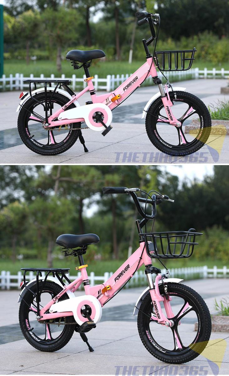 Xe nhiều mầu sắc