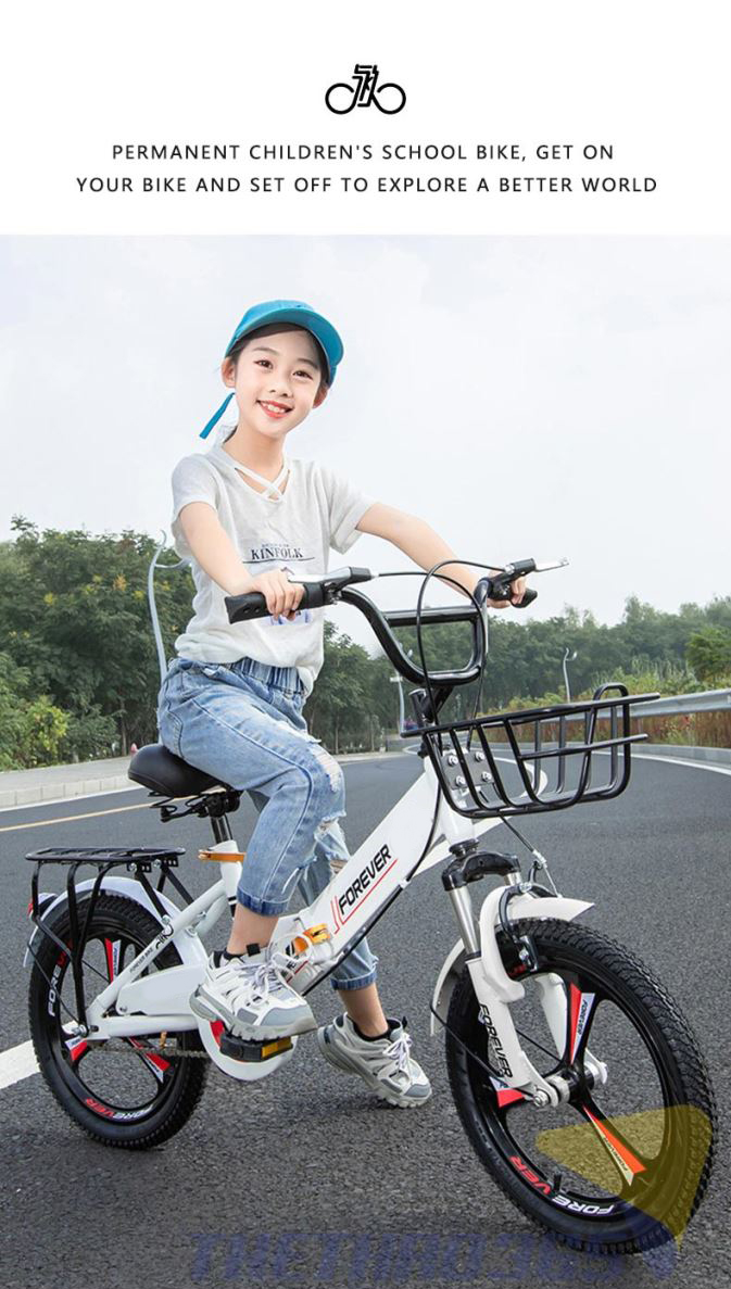 Xe nhiều mầu sắc