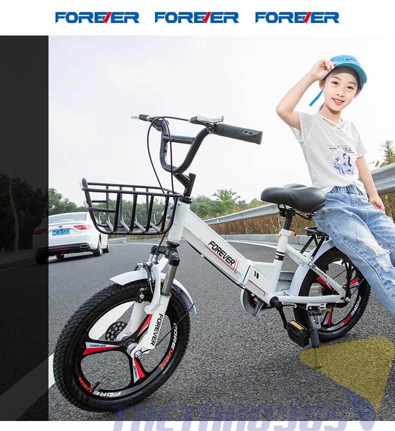 Xe nhiều mầu sắc