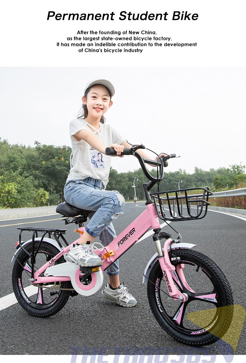 Xe nhiều mầu sắc