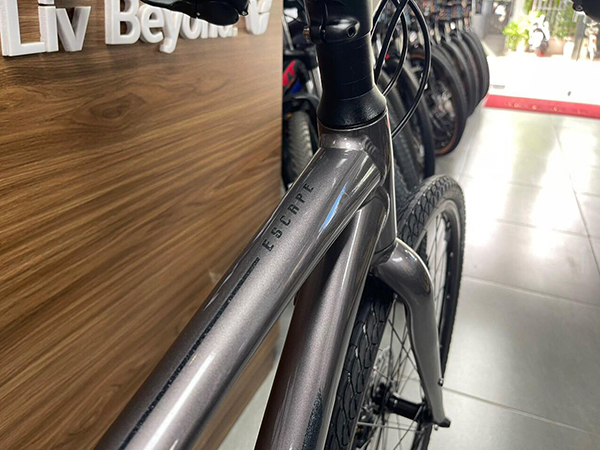 sườn xe đạp touring Giant ESCAPE 2 2024