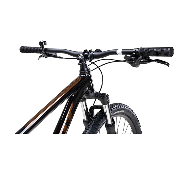 tay lái xe đạp địa hình thể thao Giant Talon 29 2 2024