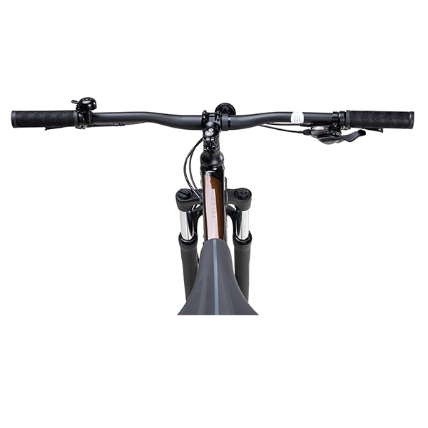ghi đông xe đạp địa hình thể thao Giant Talon 29 2 2024
