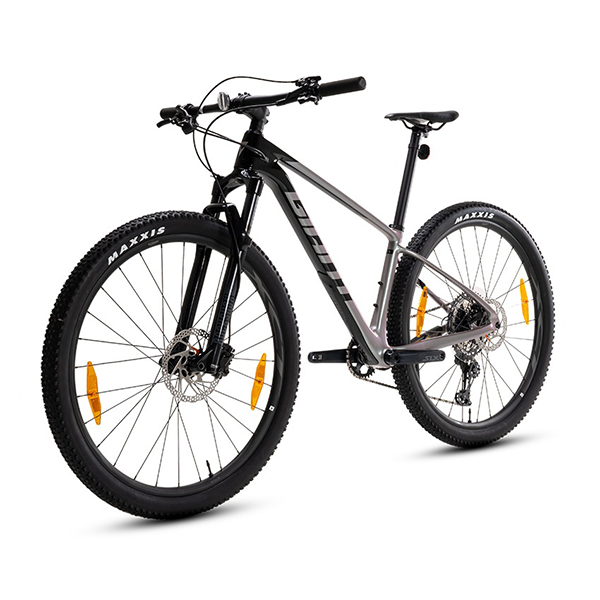 bánh xe đạp địa hình thể thao Giant XTC Advanced 29 2 2024
