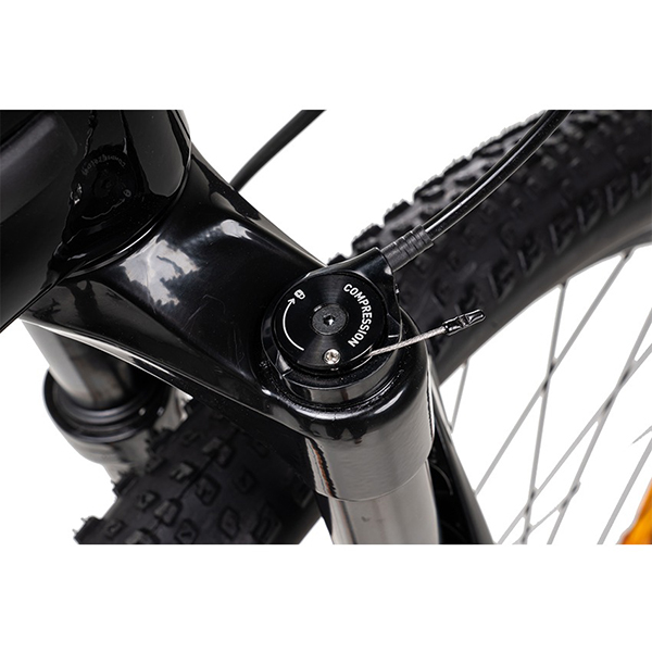 khóa phuộc xe đạp địa hình thể thao Giant XTC Advanced 29 2 2024
