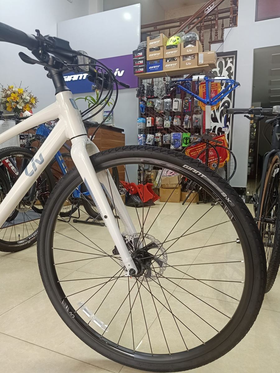 vành xe đạp touring LIV ALIGHT 1 2023