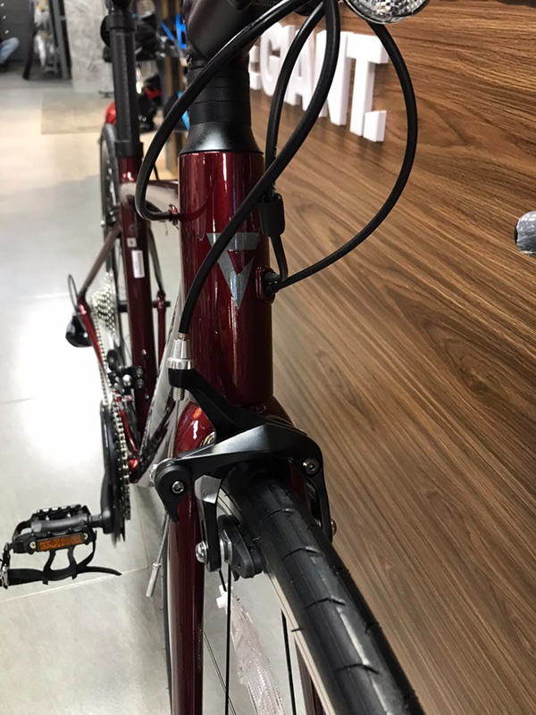 phanh vành xe đạp đua Giant CONTEND 1 2024