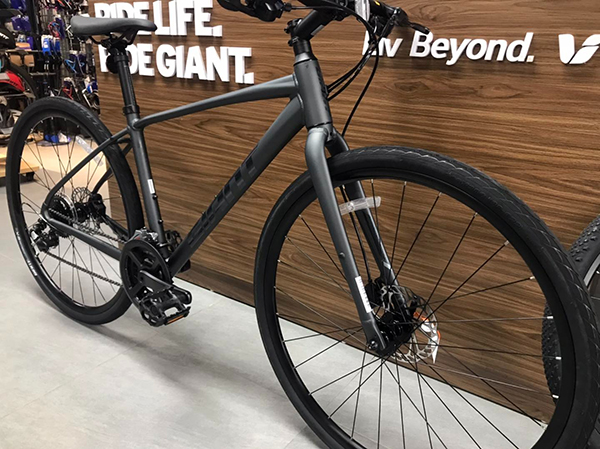 khung xe đạp touring Giant ESCAPE 1 D-GC 2024