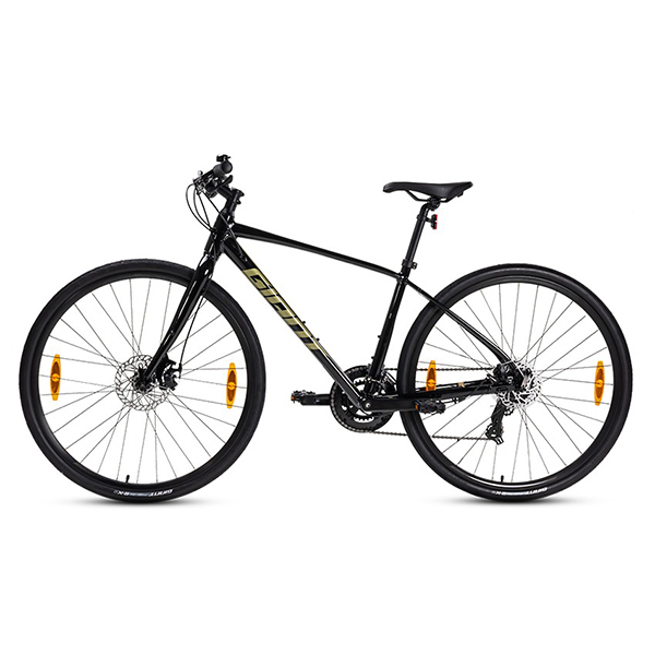 xe đạp touring Giant Escape 3 Disc 2024 1