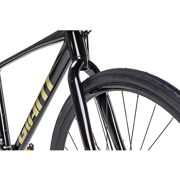 càng xe đạp touring Giant Escape 3 Disc 2024