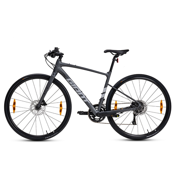 xe đạp touring Giant Fastroad 2 2024 ghi
