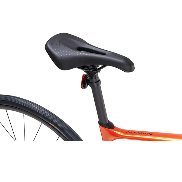 yên xe đạp touring Giant Fastroad Advanced 2 2024
