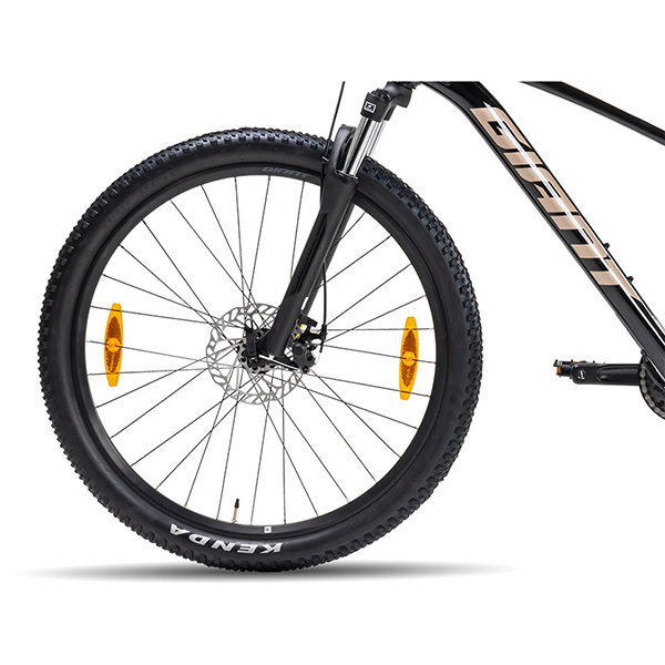 bánh xe đạp địa hình thể thao Giant Talon 4 2024