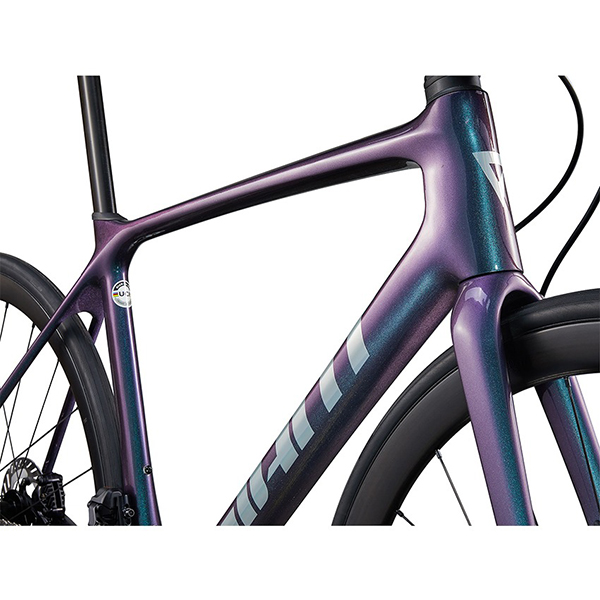 sườn xe đạp đua Giant TCR Advanced Pro 0 Disc Di2 2024