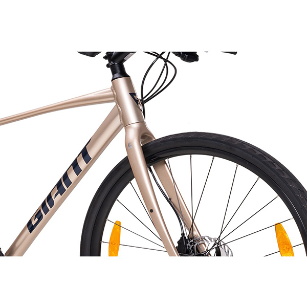 càng xe đạp touring Giant Escape 1 Disc 2024