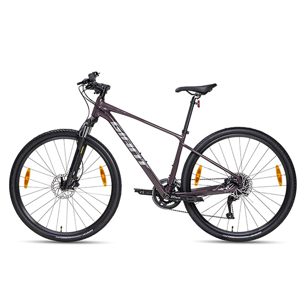 xe đạp touring Giant Roam 2 Disc 2024 tím