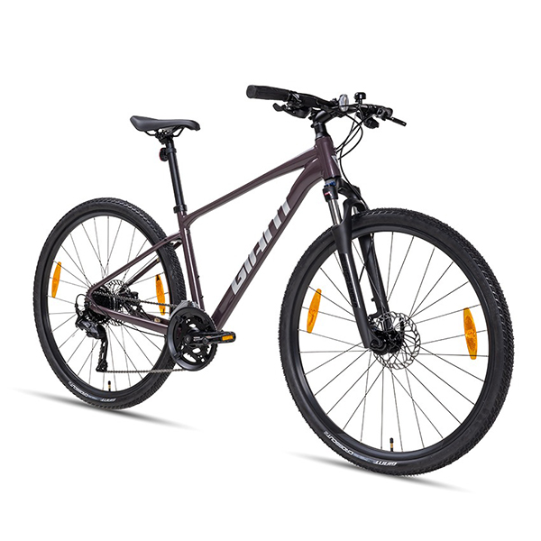 giảm xóc xe đạp touring Giant Roam 2 Disc 2024