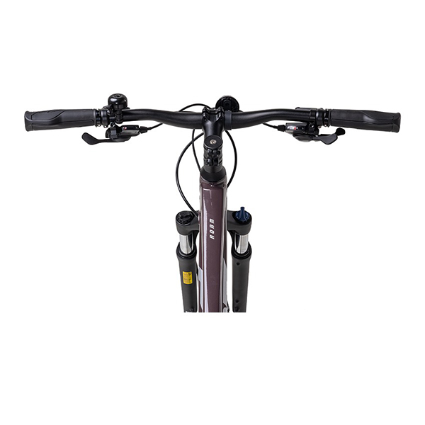tay lái xe đạp touring Giant Roam 2 Disc 2024