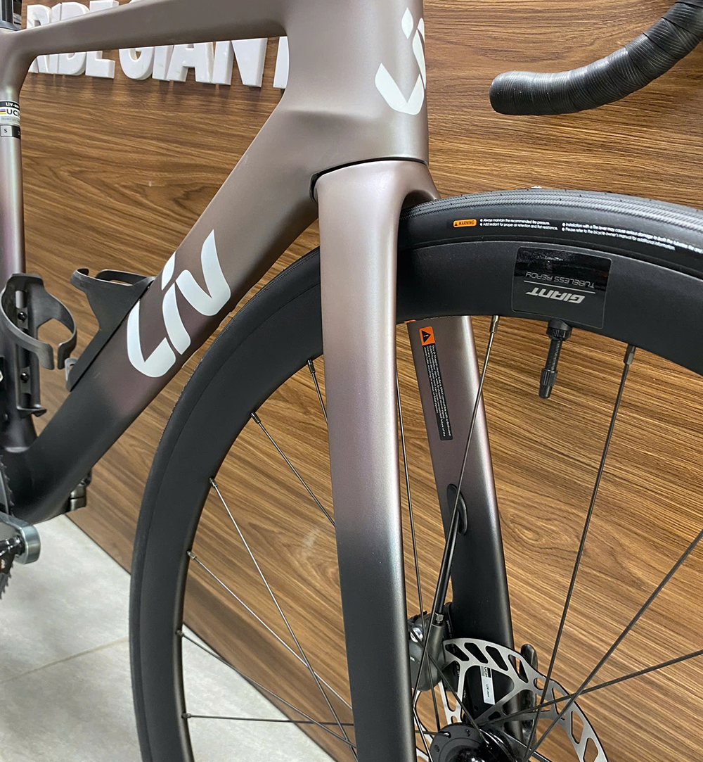 càng xe đạp đua LIV ENVILIV ADV 3 2025