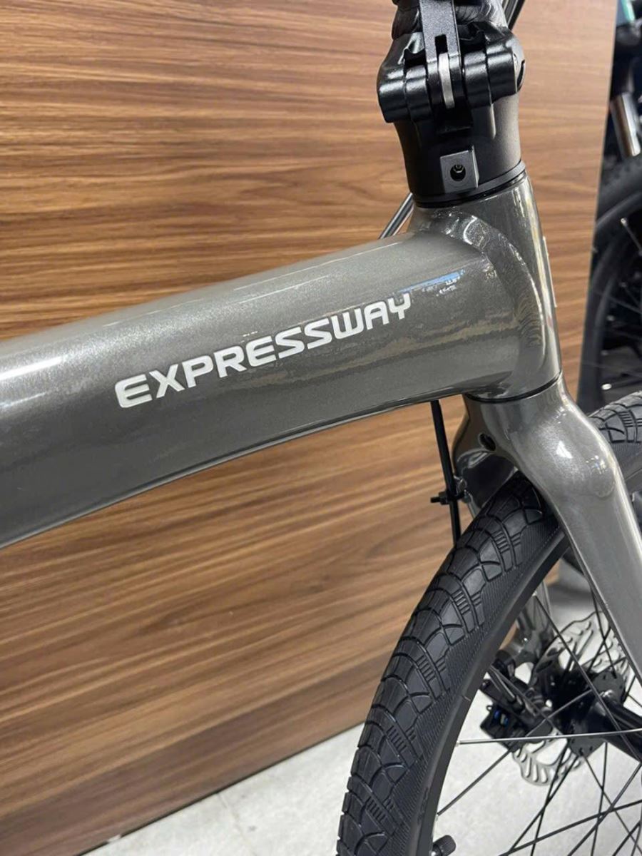 sườn xe đạp gấp Momentum ITHINK EXPRESSWAY D1 2025