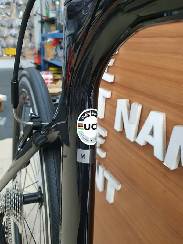 xe đạp đua Giant PROPEL ADV 2 SE 2021