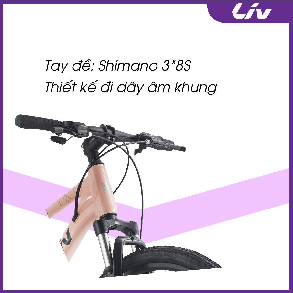 Tay lái thể thao với tay cầm to bản