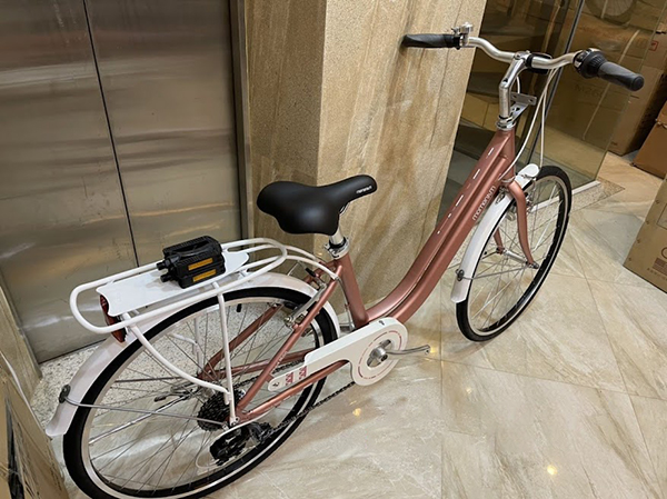 khung xe đạp nữ Momentum