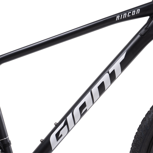 khung xe đạp địa hình thể thao Giant Rincon 2 26 2022