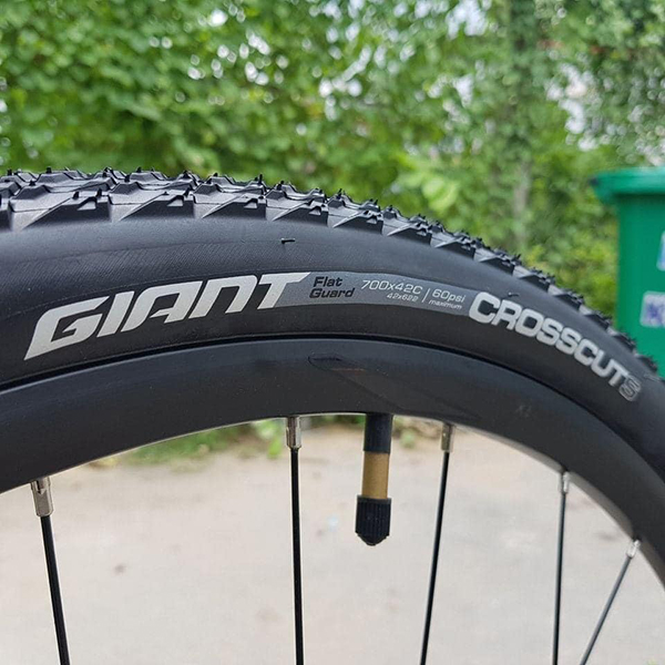 bánh xe đạp địa hình thể thao Giant Roam 3 Disc 2022