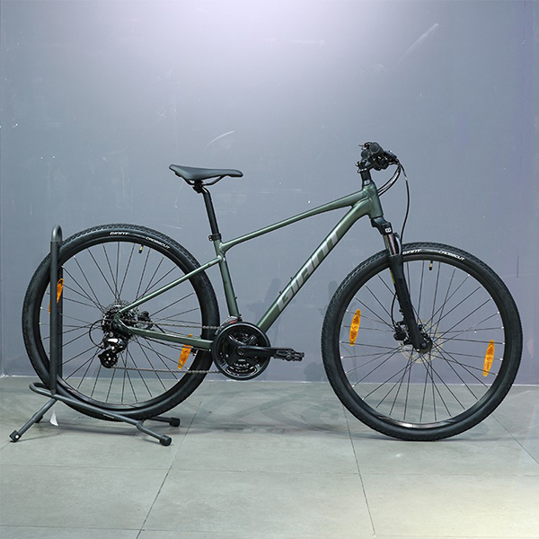 xe đạp địa hình thể thao Giant Roam 4 Disc 2021