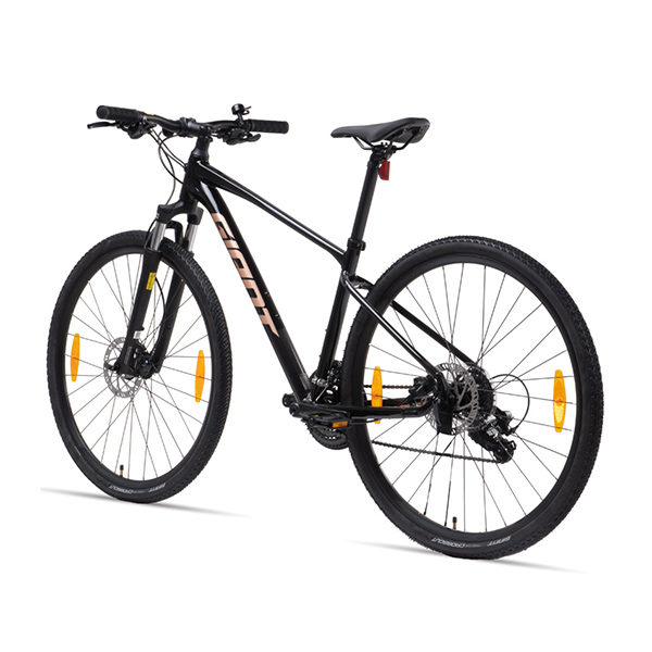 bánh xe đạp địa hình thể thao Giant Roam 4 Disc 2022
