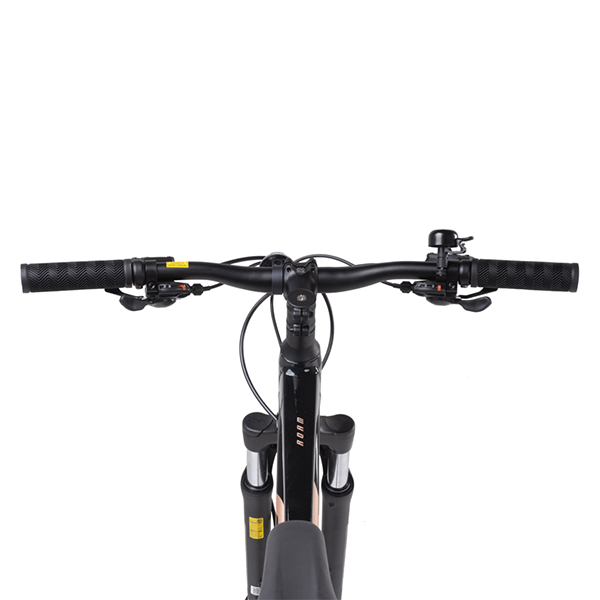 tay lái xe đạp địa hình thể thao Giant Roam 4 Disc 2022
