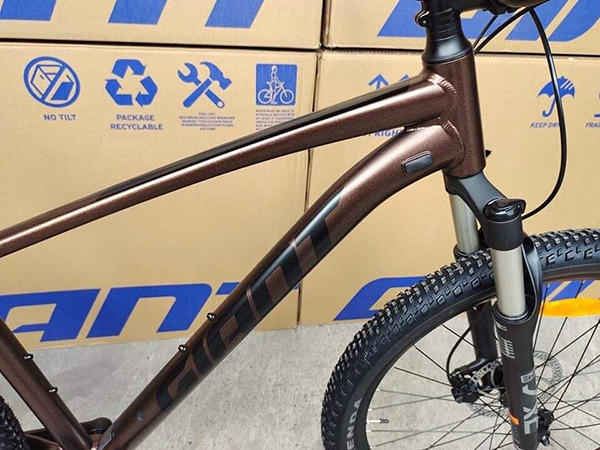 khung xe đạp địa hình thể thao Giant Talon 29 1 2022