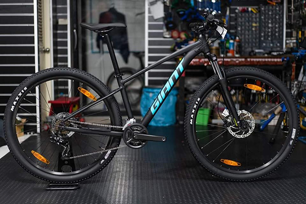 xe đạp địa hình thể thao Giant Talon 3 2021