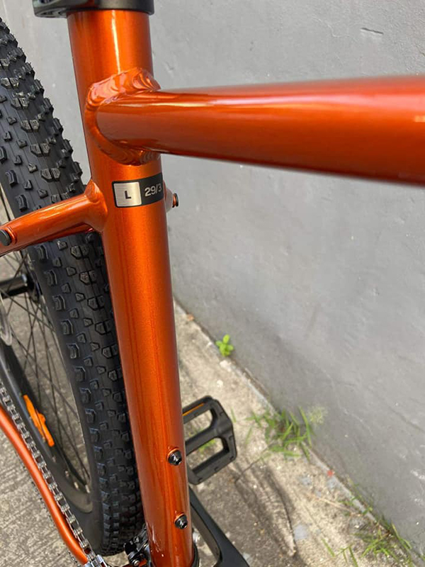 size xe đạp địa hình thể thao Giant Talon 29 3 2022