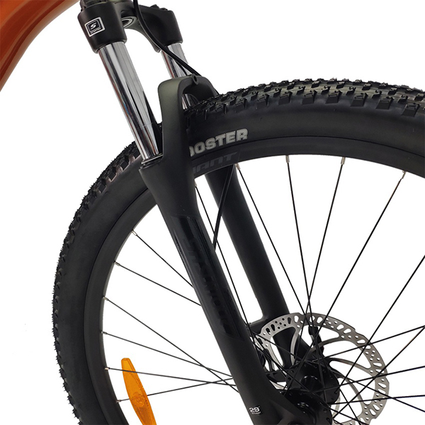 phuộc xe đạp địa hình thể thao Giant Talon 29 3 2022