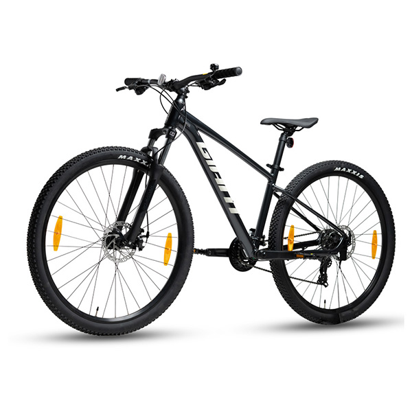 bánh xe đạp địa hình thể thao Giant Talon 4 2021
