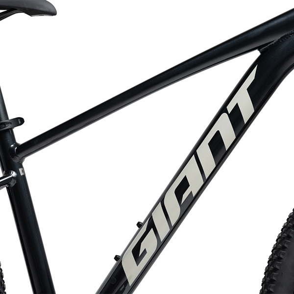 khung xe đạp địa hình thể thao Giant Talon 4 2021