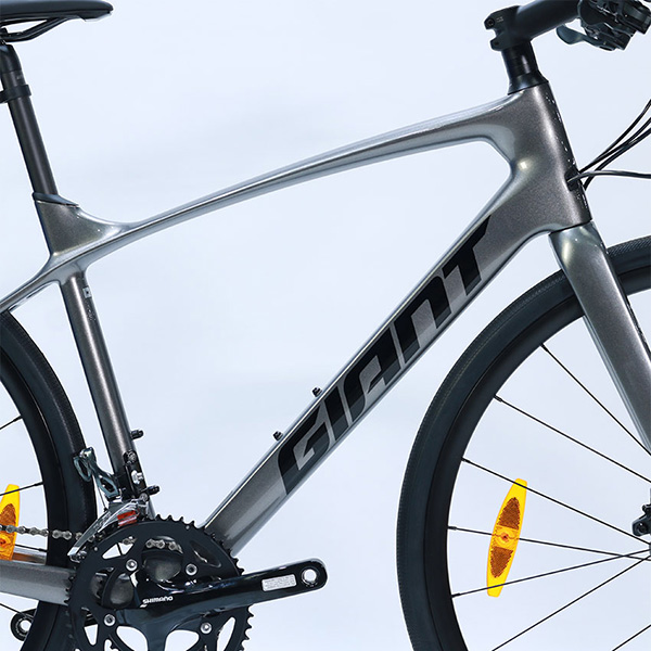Khung sườn xe đạp touring Giant FAST ROAD ADVANCED 2 2021