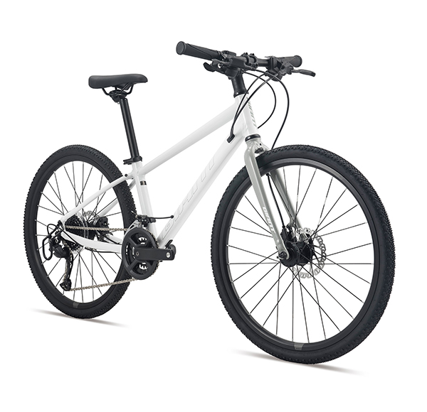 xe đạp địa hình thể thao Giant FASTROAD 24 JR 1 2023