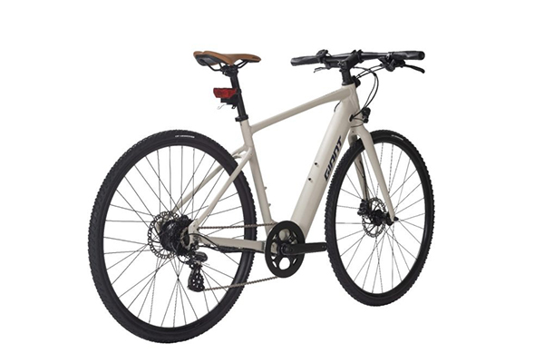xe đạp điện touring Giant FASTER E+